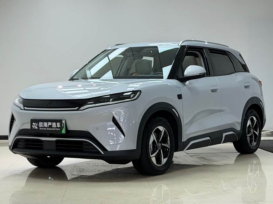 Yuan UP 2025 Smart Driving 401KM Beyond