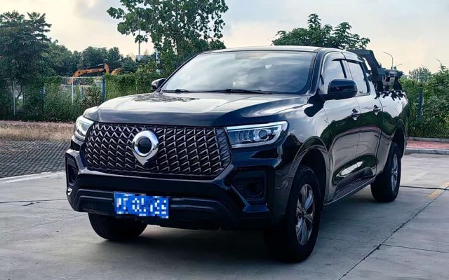 2023 2.0T Commercial Version Automatic Diesel Two-Wheel Drive Elite Long Box GW4D20M
