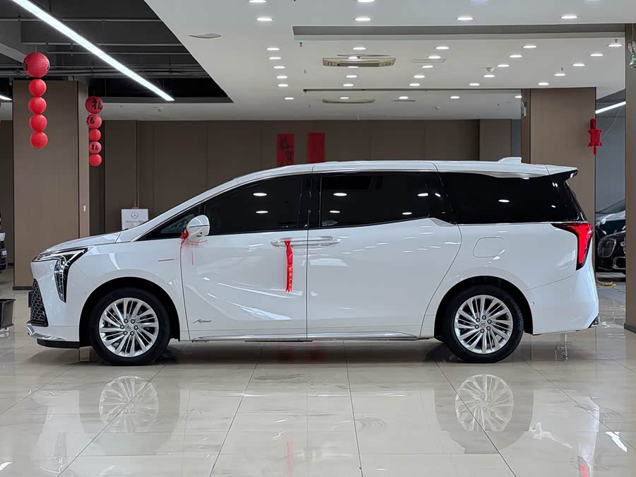 2023 2.0T Seven-Seater Elite - zdjęcie 5