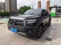 2024 2.4T Passenger Auto Diesel 4WD Comfort - zdjęcie 19