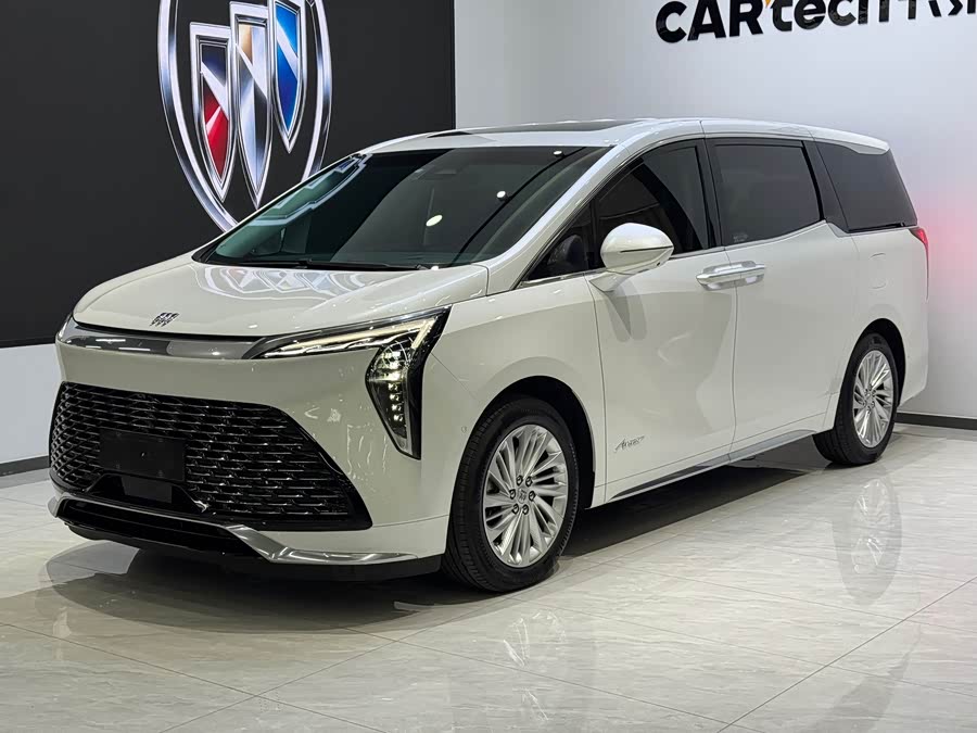 2025 2.0T Seven-Seater Yunshe Edition