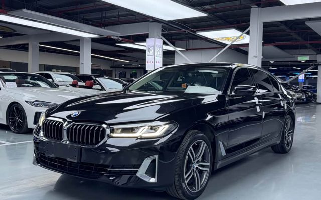 BMW 5 Series 2023 530Li Leading Luxury Package
