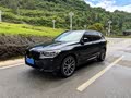 BMW X3 2023 xDrive30i Leading M Night Package - zdjęcie 19