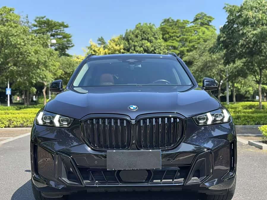 BMW X5 2023 xDrive 30Li Luxury M Sport Package - zdjęcie 2