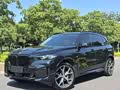 BMW X5 2023 xDrive 30Li Luxury M Sport Package - zdjęcie 17