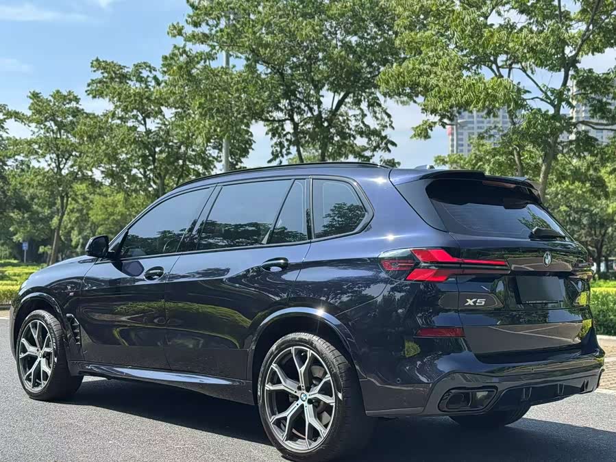 BMW X5 2023 xDrive 30Li Luxury M Sport Package - zdjęcie 8