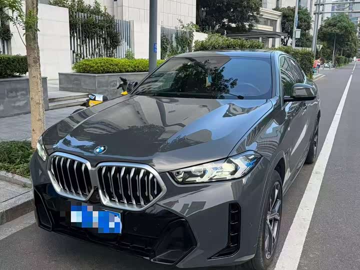 BMW X6 2023 xDrive40i Luxury M Sport Package - zdjęcie 6
