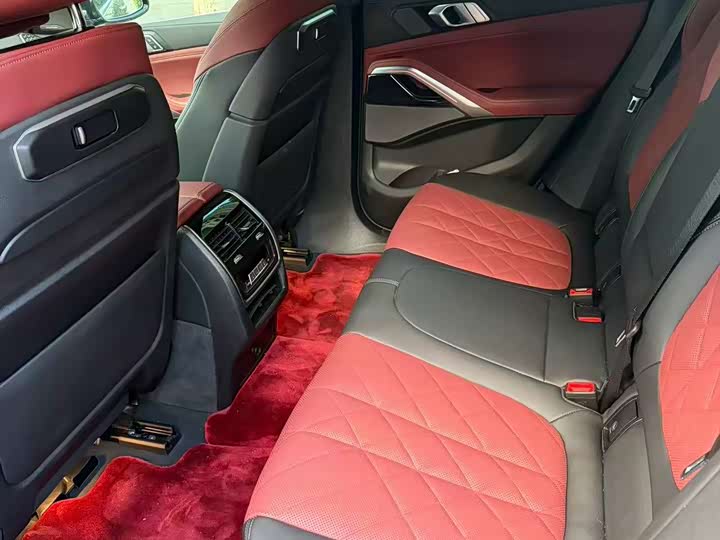 BMW X6 2023 xDrive40i Luxury M Sport Package - zdjęcie 8