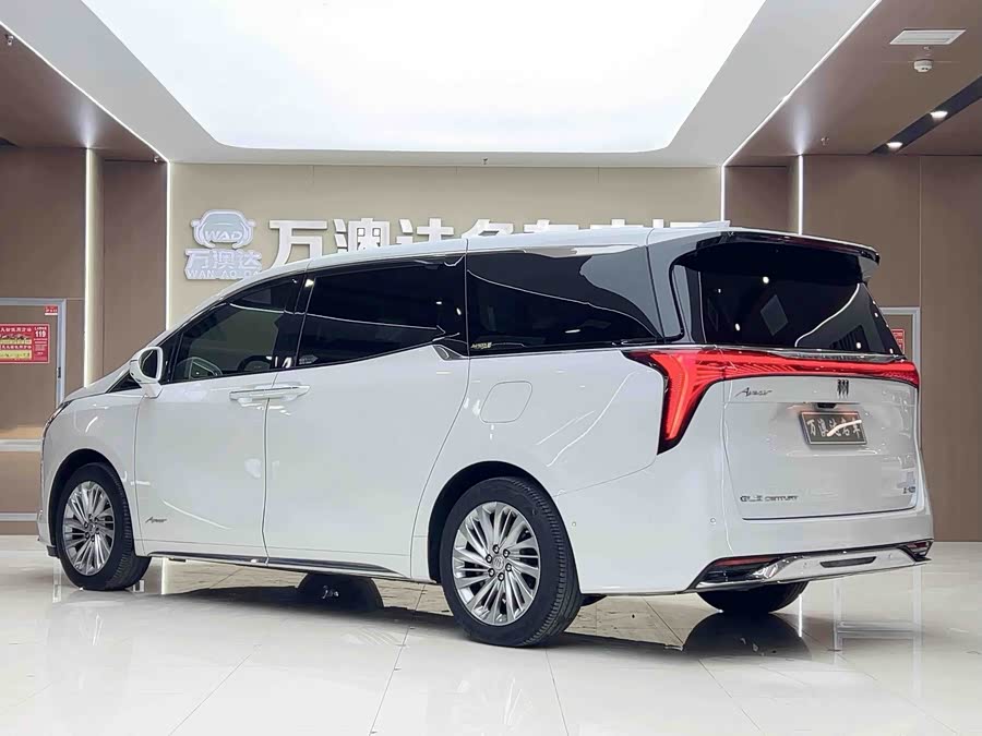 Century 2023 2.0T Six-Seater Yunshe Edition - zdjęcie 18