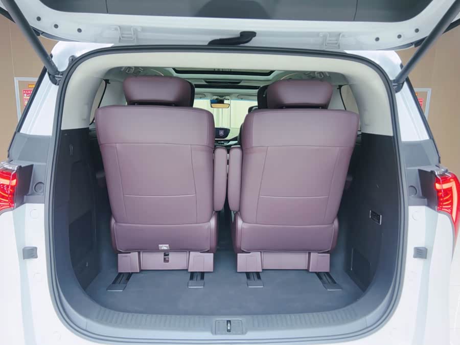 Century 2023 2.0T Six-Seater Yunshe Edition - zdjęcie 8