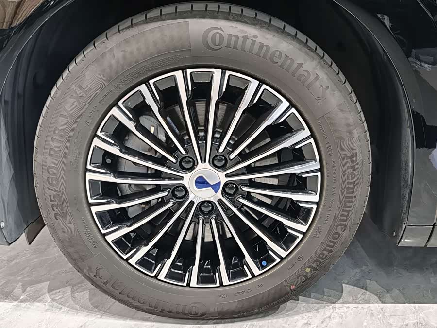 D9 2024 DM-i 980 4WD Honor - zdjęcie 4
