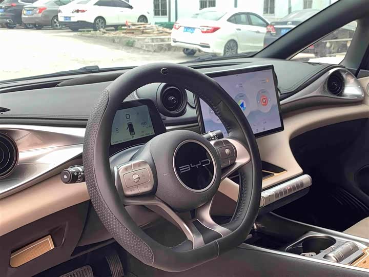 Dolphin 2021 405km Freedom Edition - zdjęcie 18