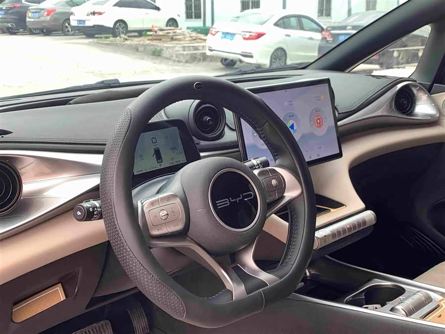 Dolphin 2021 405km Freedom Edition - zdjęcie 6