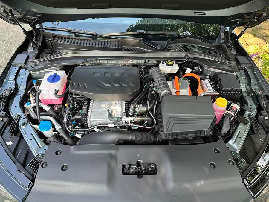 Fengyun A8L 2025 1.5TGDI 145km Luxury - zdjęcie 13
