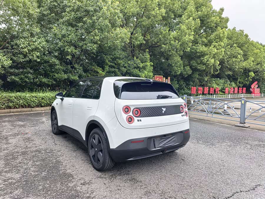 Firefly 2026 2WD - zdjęcie 5
