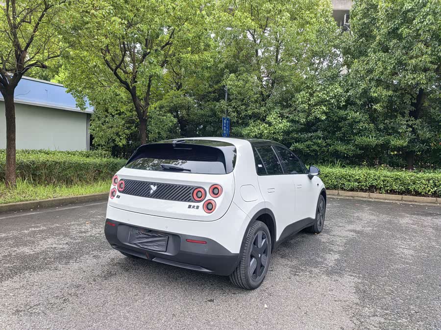 Firefly 2026 2WD - zdjęcie 7