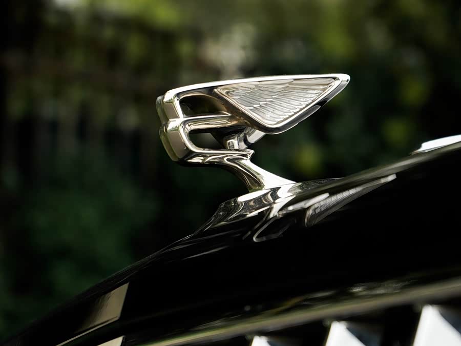 Flying Spur 2023 4.0T V8 Luxury - zdjęcie 11