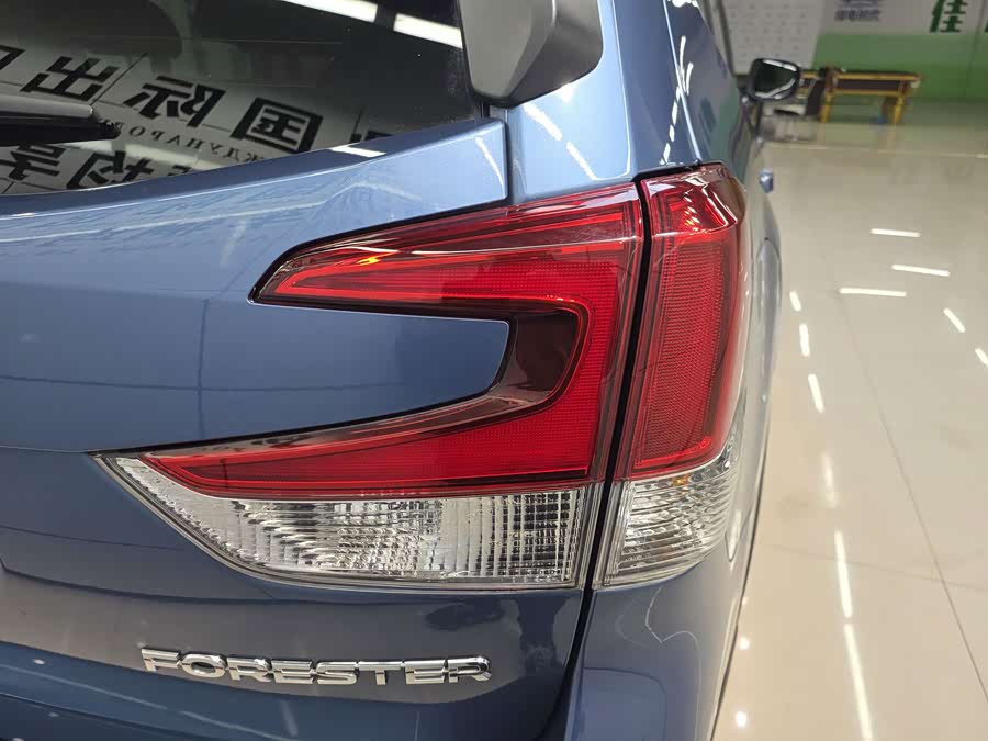 Forester 2022 2.0i AWD Luxury Edition EyeSight - zdjęcie 10