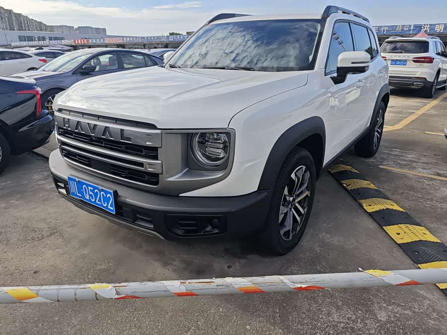 Haval Big Dog 2022 1.5T DCT Two-Wheel Drive Labrador Edition - zdjęcie 1