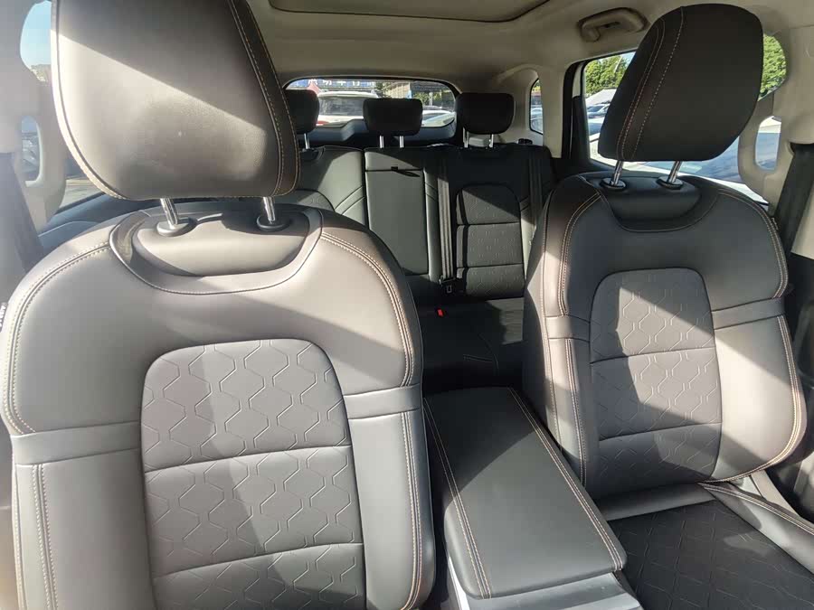 Haval Big Dog 2022 1.5T DCT Two-Wheel Drive Labrador Edition - zdjęcie 13