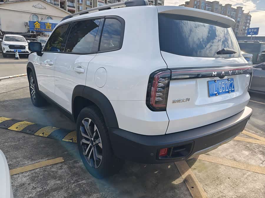 Haval Big Dog 2022 1.5T DCT Two-Wheel Drive Labrador Edition - zdjęcie 15