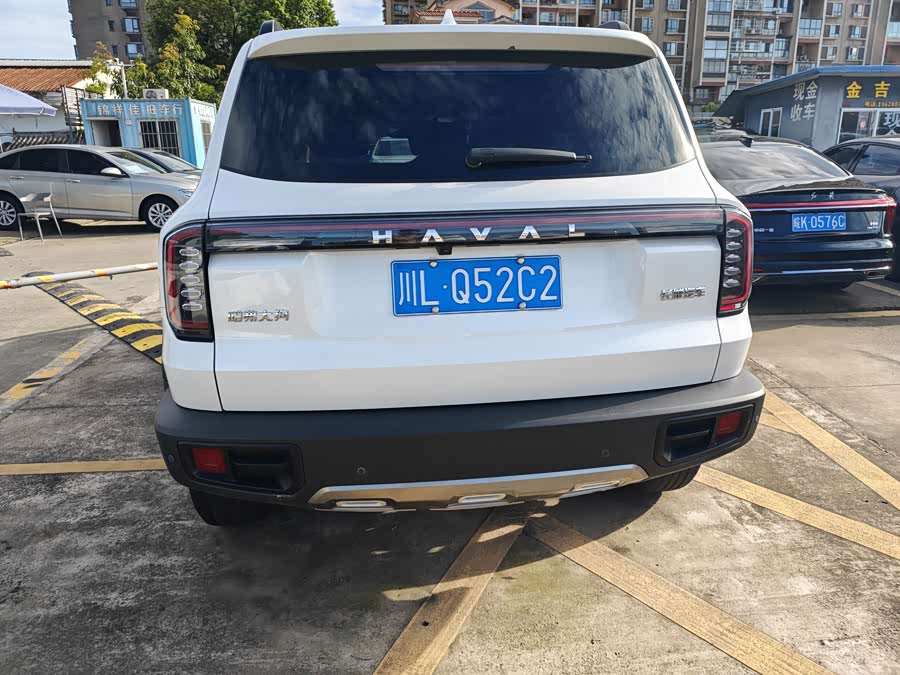 Haval Big Dog 2022 1.5T DCT Two-Wheel Drive Labrador Edition - zdjęcie 16