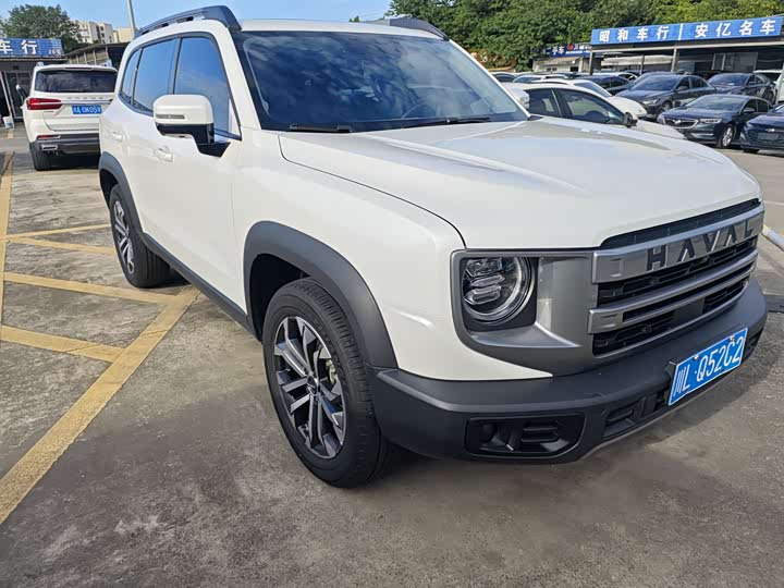 Haval Big Dog 2022 1.5T DCT Two-Wheel Drive Labrador Edition - zdjęcie 19