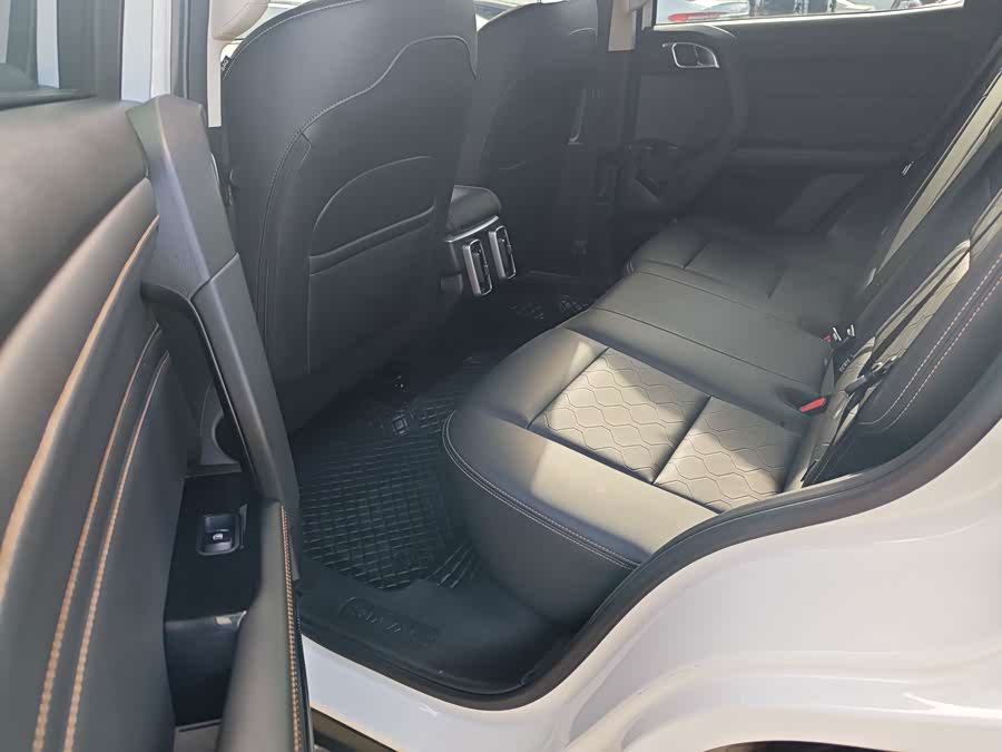Haval Big Dog 2022 1.5T DCT Two-Wheel Drive Labrador Edition - zdjęcie 10