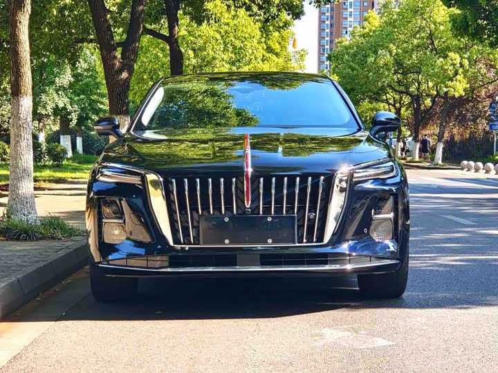 Hongqi H5 2023 1.5T DCT Intelligent Connected Flag Joy Version - zdjęcie 11