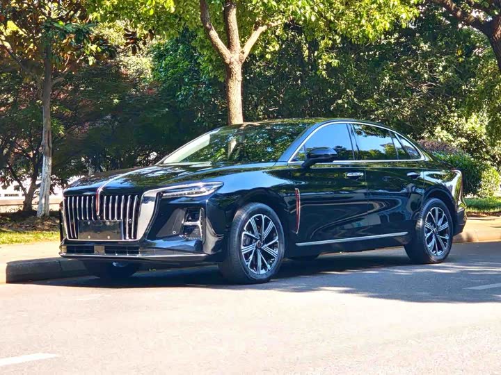 Hongqi H5 2023 1.5T DCT Intelligent Connected Flag Joy Version - zdjęcie 10