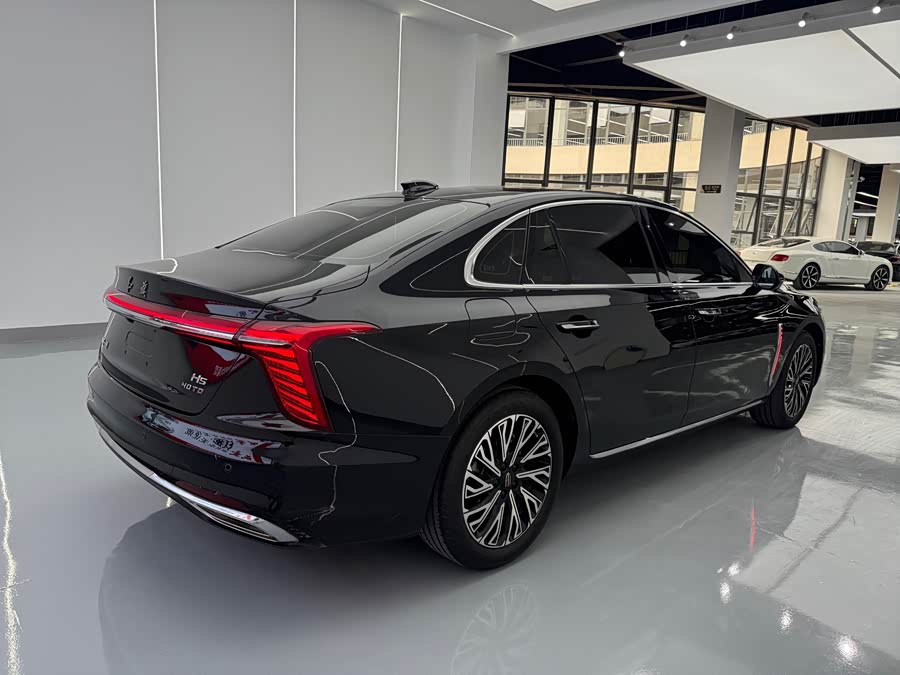 Hongqi H5 2024 2.0T Auto Intelligent Connectivity Flagship - zdjęcie 13
