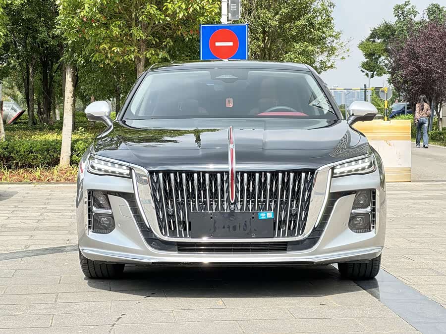 Hongqi H5 2025 2.0T Auto Qichang - zdjęcie 2