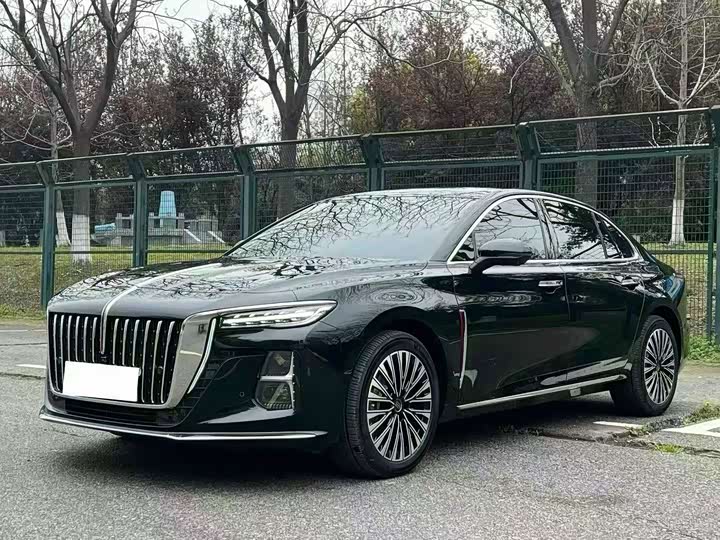 Hongqi H5 2025 2.0T Auto Qichang - zdjęcie 10