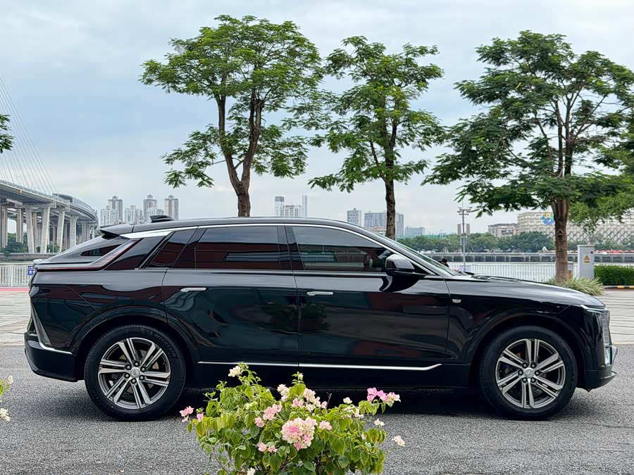 IQ Rui Ge 2024 Rear Drive Standard Range Luxury - zdjęcie 6
