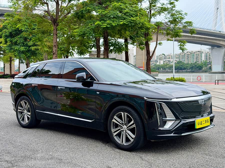 IQ Rui Ge 2024 Rear Drive Standard Range Luxury - zdjęcie 7
