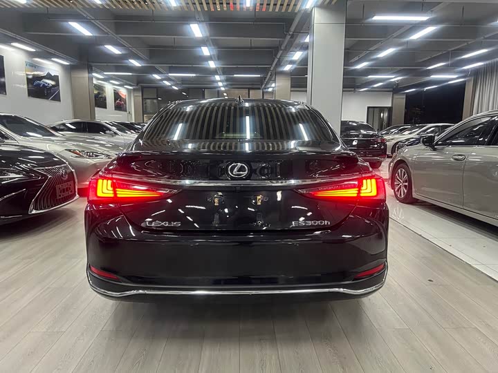 Lexus ES 2022 300h Excellence - zdjęcie 17