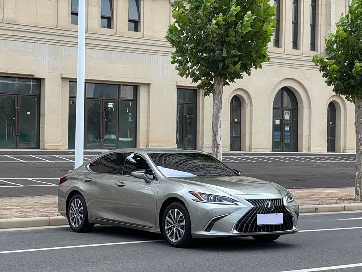 Lexus ES 2022 300h Excellence - zdjęcie 19