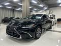 Lexus ES 2022 300h Excellence - zdjęcie 19
