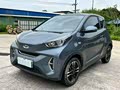 Little Ant 2023 251km True Love Edition Lithium Iron Phosphate - zdjęcie 19