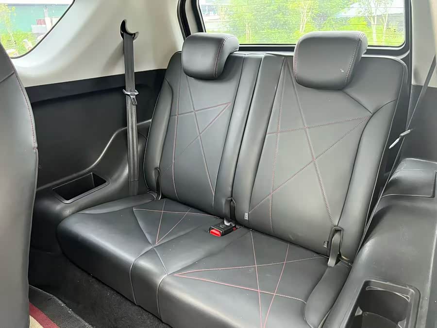 Little Ant 2023 251km True Love Edition Lithium Iron Phosphate - zdjęcie 6