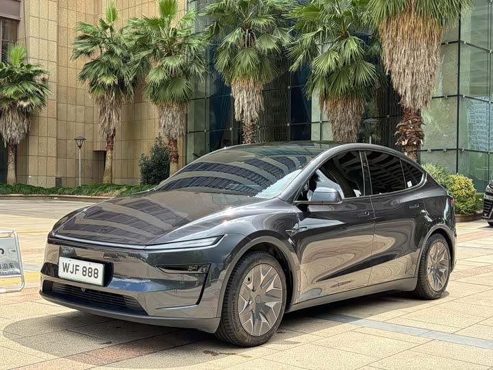 Model Y L 2025 Long Range All-Wheel Drive Version - zdjęcie 11
