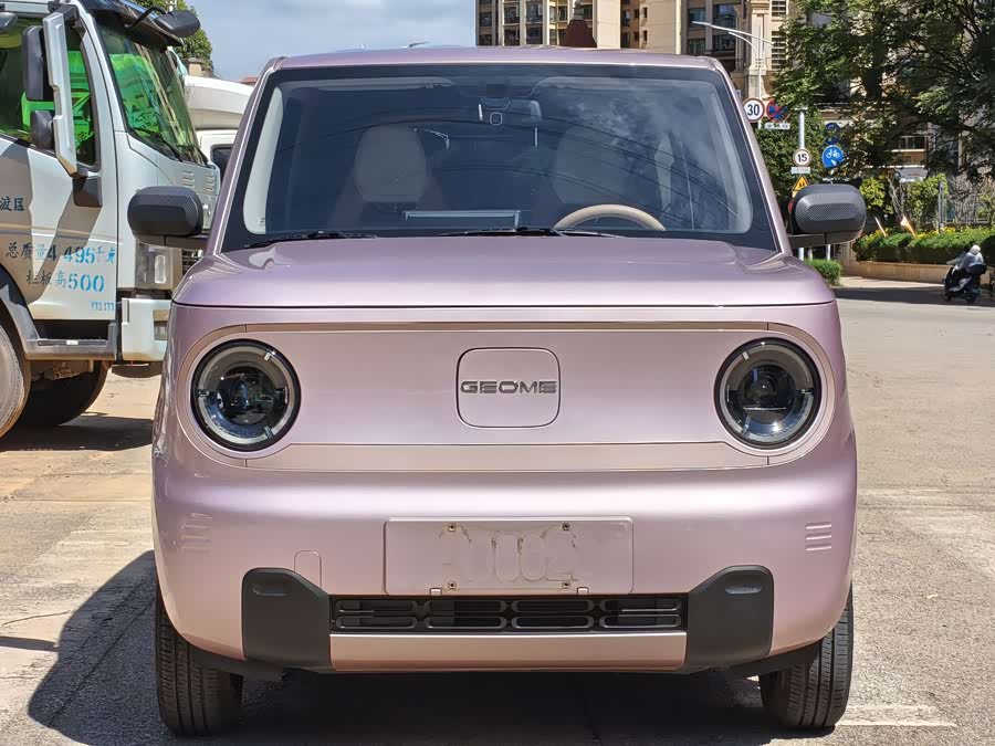 Panda Mini 200km Endurance - zdjęcie 2