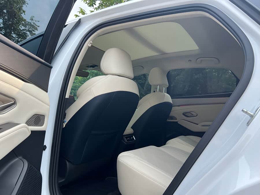 Qin L 2024 DM-i 120KM Excellence - zdjęcie 18