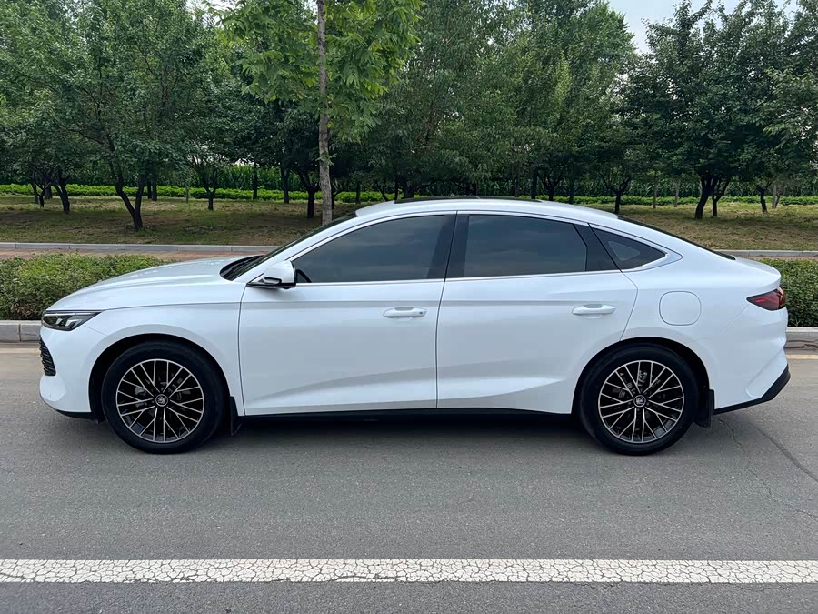 Qin L 2024 DM-i 120KM Excellence - zdjęcie 4