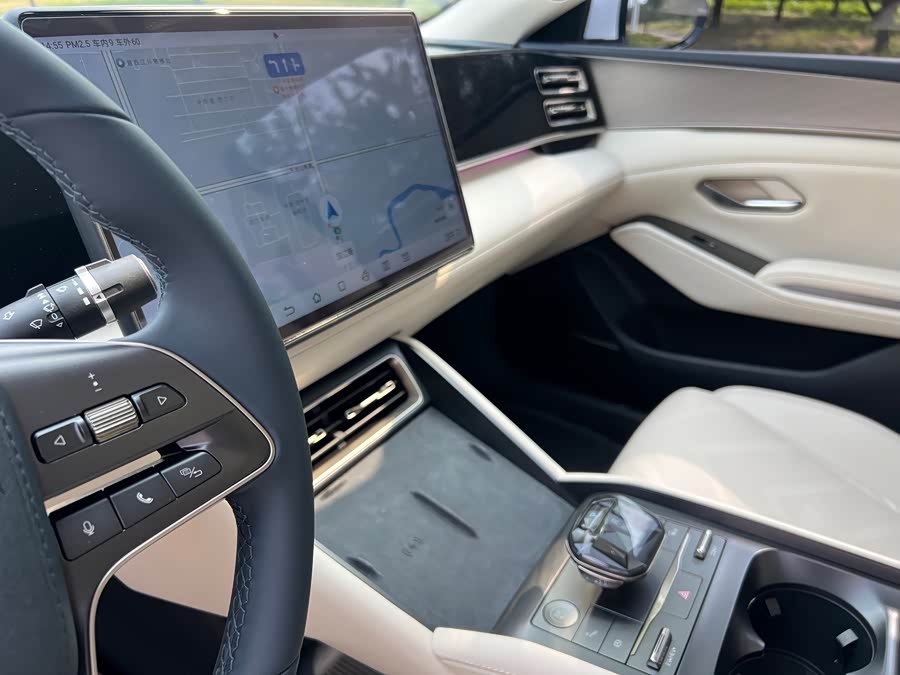Qin L 2024 DM-i 120KM Excellence - zdjęcie 10