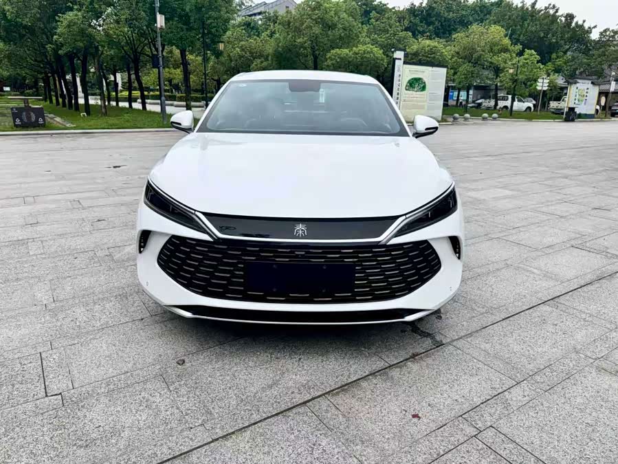 Qin L 2024 DM-i 80KM Super - zdjęcie 2