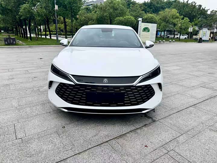 Qin L 2024 DM-i 80KM Super - zdjęcie 11