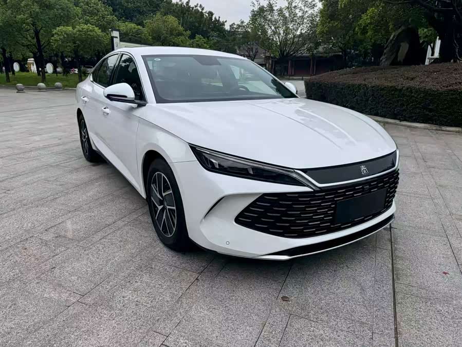Qin L 2024 DM-i 80KM Super - zdjęcie 3