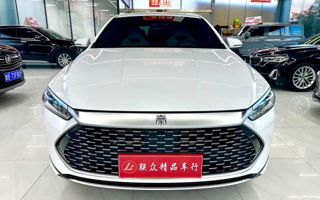Qin PLUS 2024 Glory DM-i 55KM Leading
