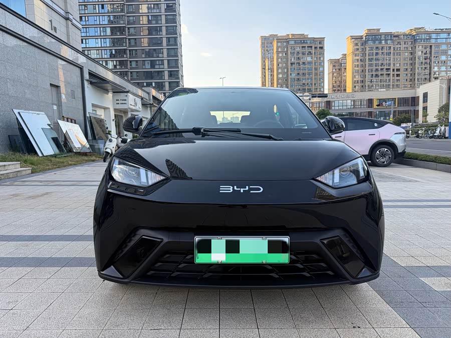 Seagull 2024 Glory Edition 305km Vitality Edition - zdjęcie 2